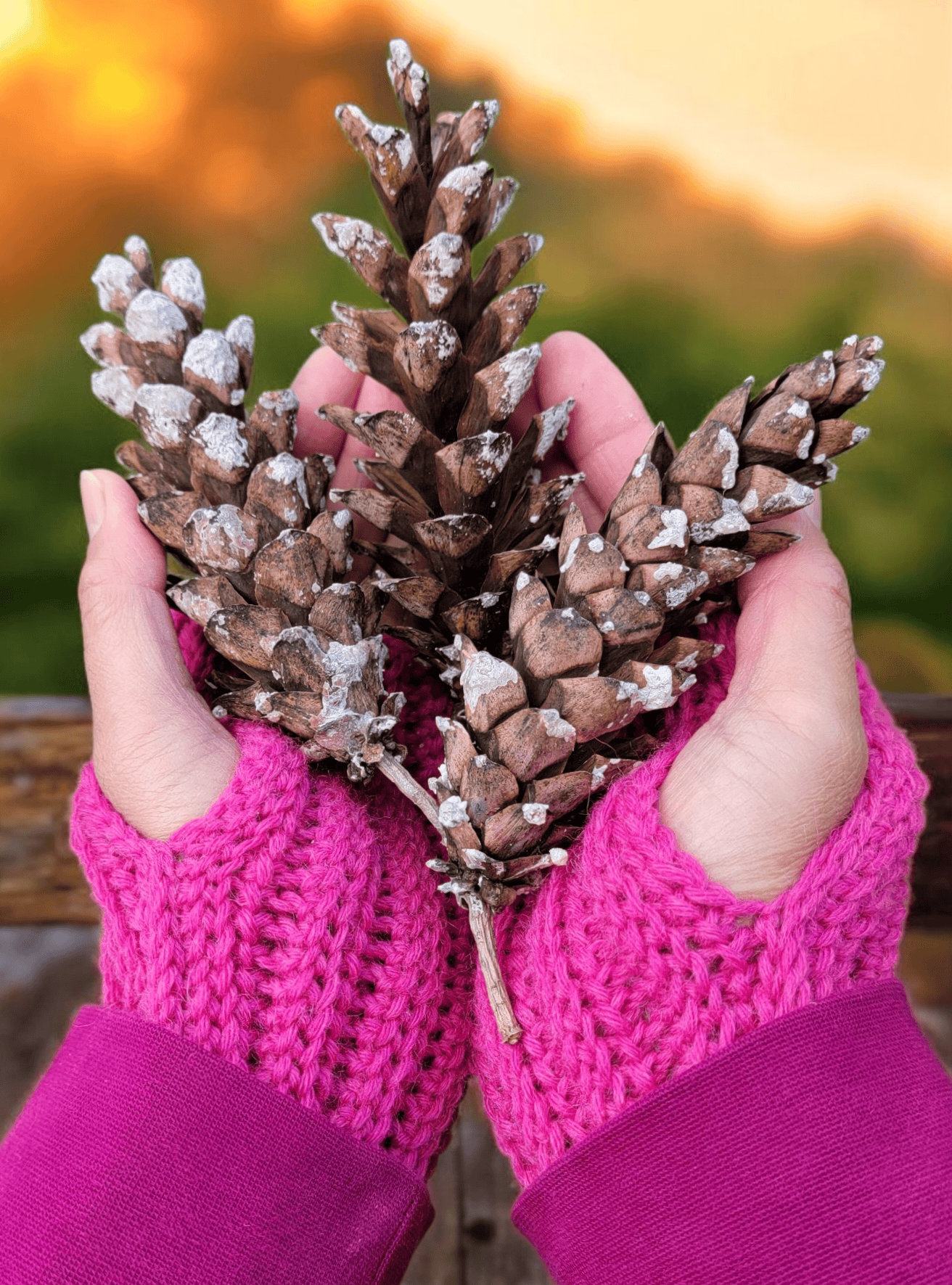 Izzie Fingerless Gloves (crochet pattern) – Clover Needlecraft